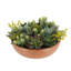 Composition de fausses plantes succulentes CG Hunter de 28 cm dans un pot rond en terre cuite - Décoration botanique réaliste