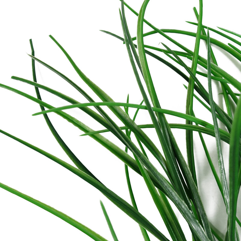 Plastic, Silk Artificial Arrangement