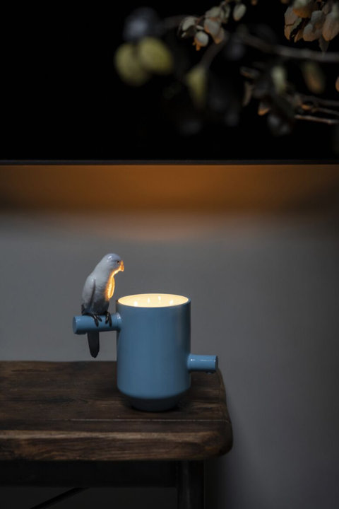 Candles & Candle Holders