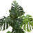 Large Monstera Tree for Statement Floor Decor