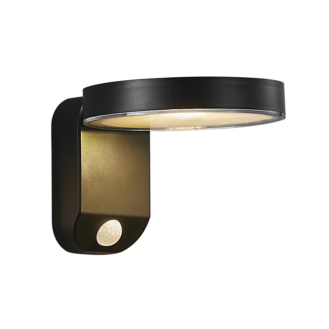 Rica 1 - Light Black Armed Sconce