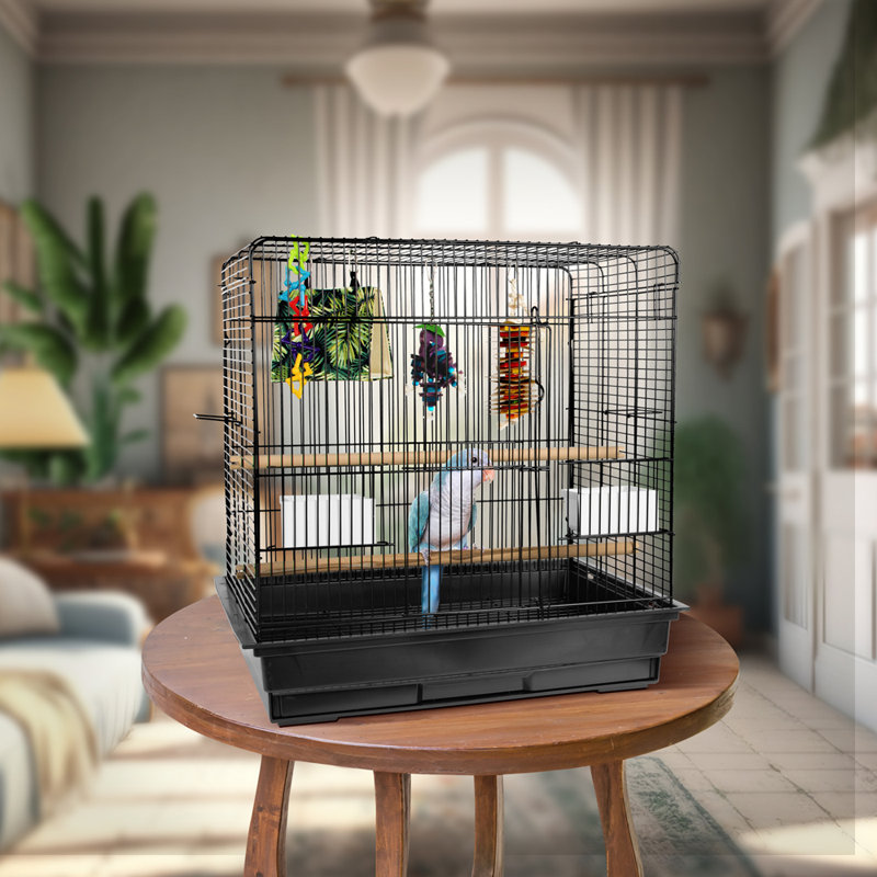 Ensemble de cage à oiseaux moyen, Noir