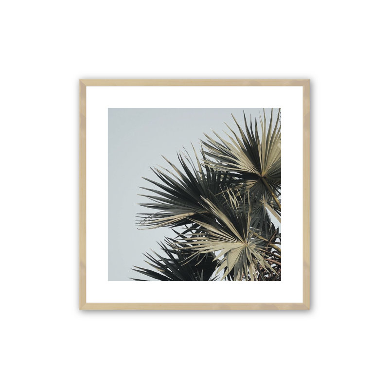 Barrick Sky High Palms - impression d'un seul cadre photo, H 20 po x l 20 po x P 1,25 po, Érable brut