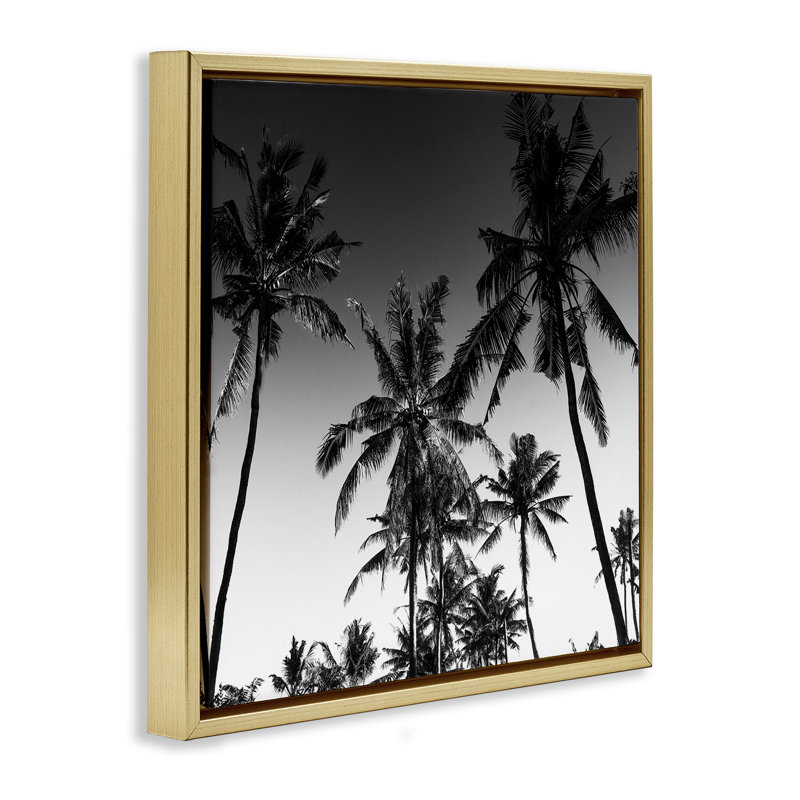 Cadre flottant Palm Sunset Stark Contrast, design par Danita Delimont, H 25 po x l 25 po, Cadre flottant métallique doré