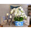 Orchid 32" H Floral Arrangements in Pot