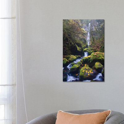 USA, Oregon. Autumn View Of Mccord Creek Flowing Below Elowah Falls In The Columbia River Gorge. by Gary Luhm - Wrapped Canvas Print