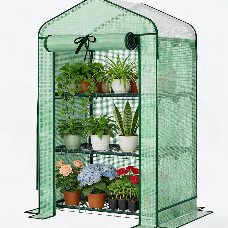 Small Greenhouse, Convenient Mini Greenhouse, Green