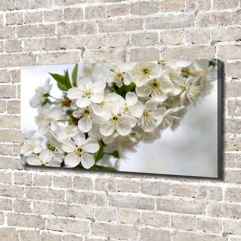 Cherry Blossoms - Wrapped Canvas Print