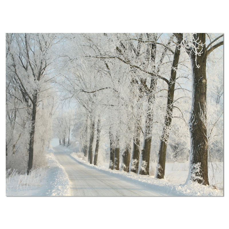 «Winter Road in Dense Foggy Forest», reproduction de photo sur toile, H 30 po x l 40 po x P 1 po
