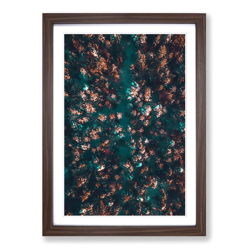 View of a Forest in Oslo Norway in Abstract - Picture Frame Graphic Art Print, 60cm H x 40cm W x 2cm D, Walnut