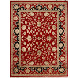 Dharma Oriental Area Rug