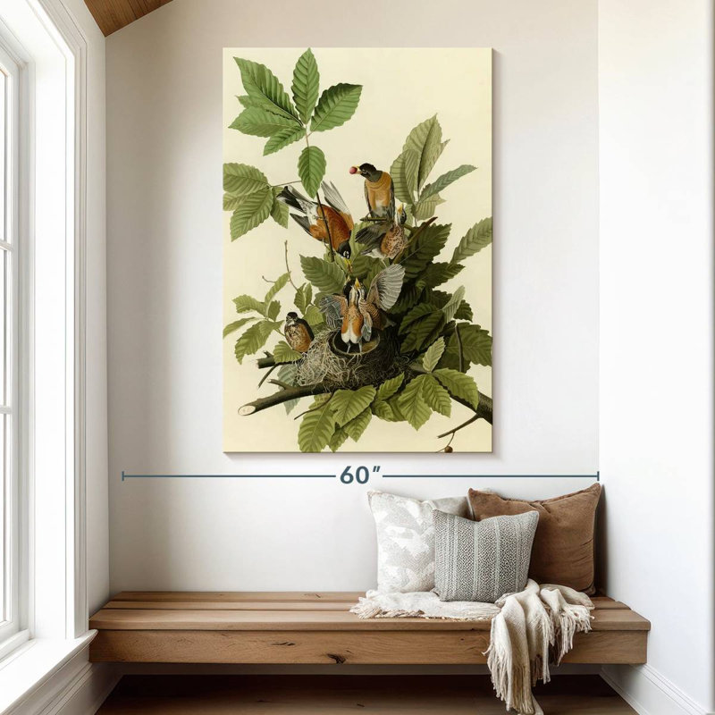 Brampt American Robin, 51" H x 34" W