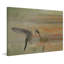 Parvez Taj - Wrapped Canvas Panoramic Print-12310104
