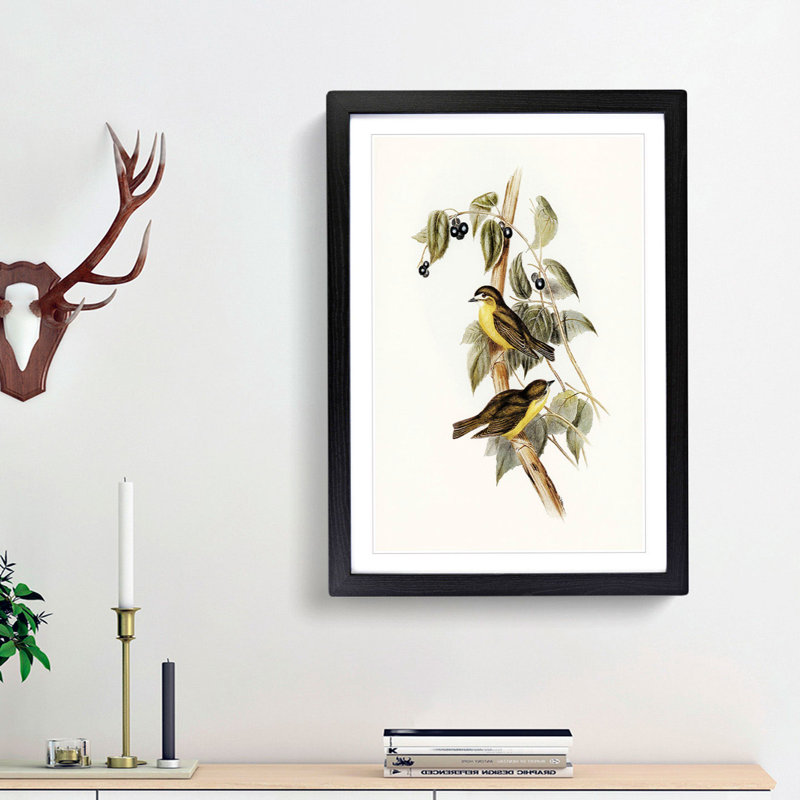 Large-Headed Robins by Elizabeth Gould - Picture Frame Painting Print, 48cm H x 36cm W x 2cm D, Black Framed