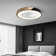 19.7" Modern Flush Mount Ceiling Fans With LED Light Dimmable Low Profile Ceiling Fans with Light