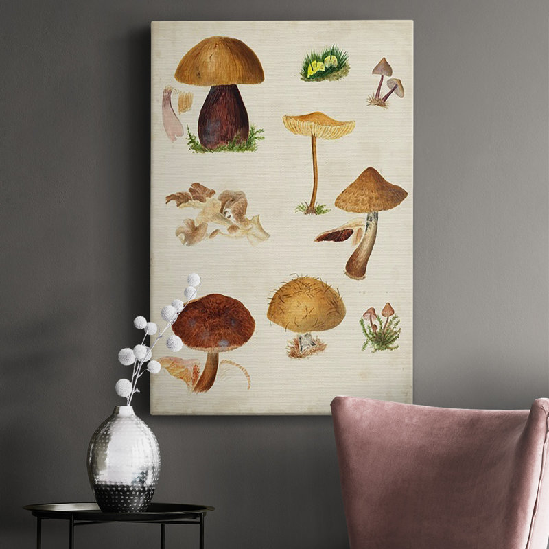 Peinture sur toile Mushroom Species II, H 12 po x l 8 po x P 1 po