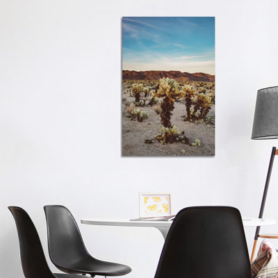 Cholla Cactus Garden II by Bethany Young - Print on Canvas