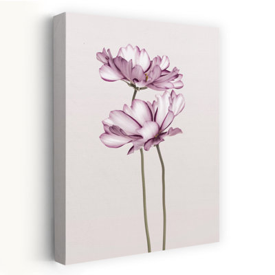 Cosmos 2 Contemporary Flower Art