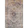 Oriental Indoor Rug