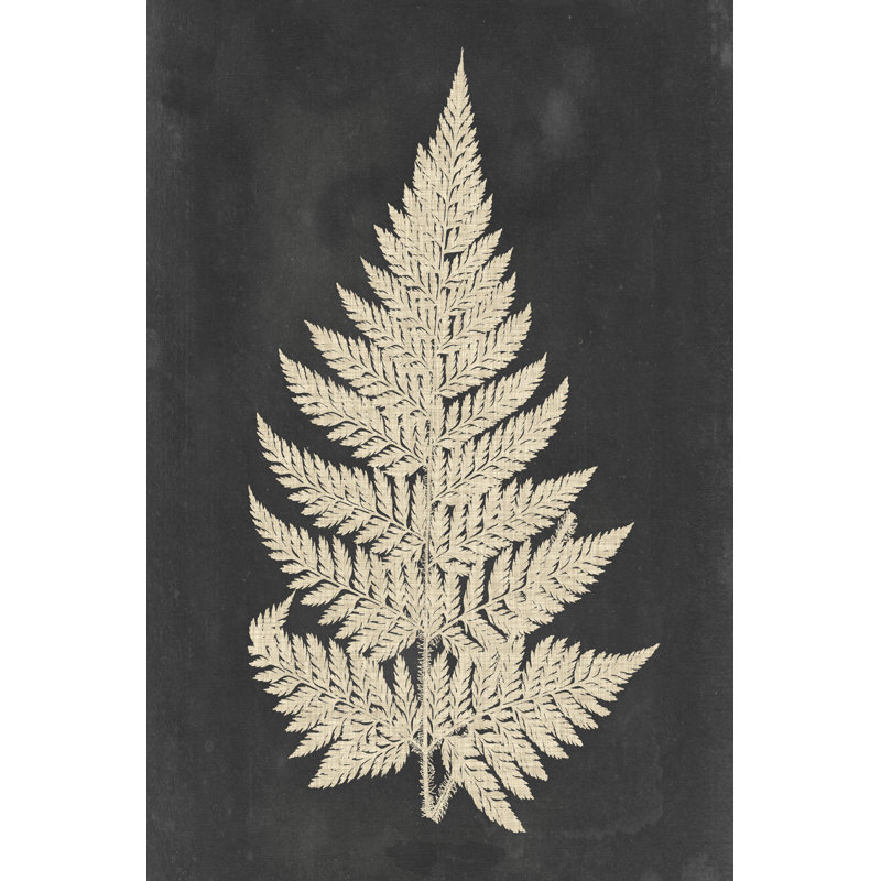 «Linen Fern I» par Vision Studio, impression sur toile, H 18 po x l 12 po, Cadre simple blanc, Non