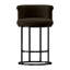 Tabourets de bar modernes à hauteur de comptoir, tabourets de comptoir rembourrés en velours (ensemble de 2)-242518372