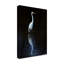 « élégant aigrette ii », reproduction de photo sur toile tendue-619550072
