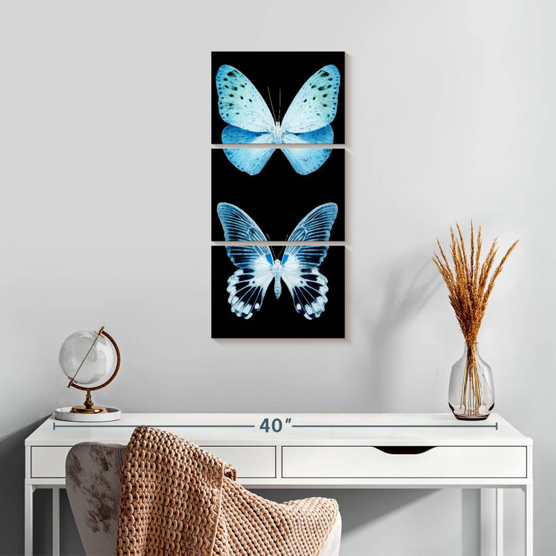Miss Butterfly X-Ray - noir, H 27 po x l 12 po