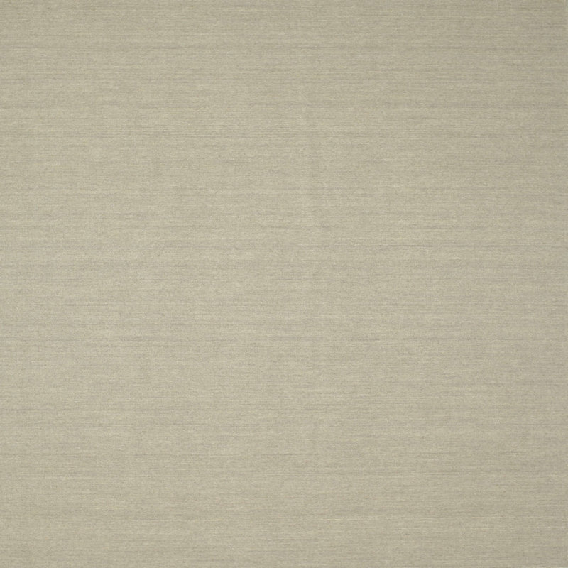 Surface beige contemporaine tapis, Rectangle 4 pi x 6 pi