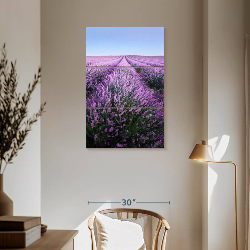 Lavande française Alvord Provence