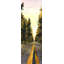 Long Road - Man Cave - reproduction matte encadrée jaune pour la décoration