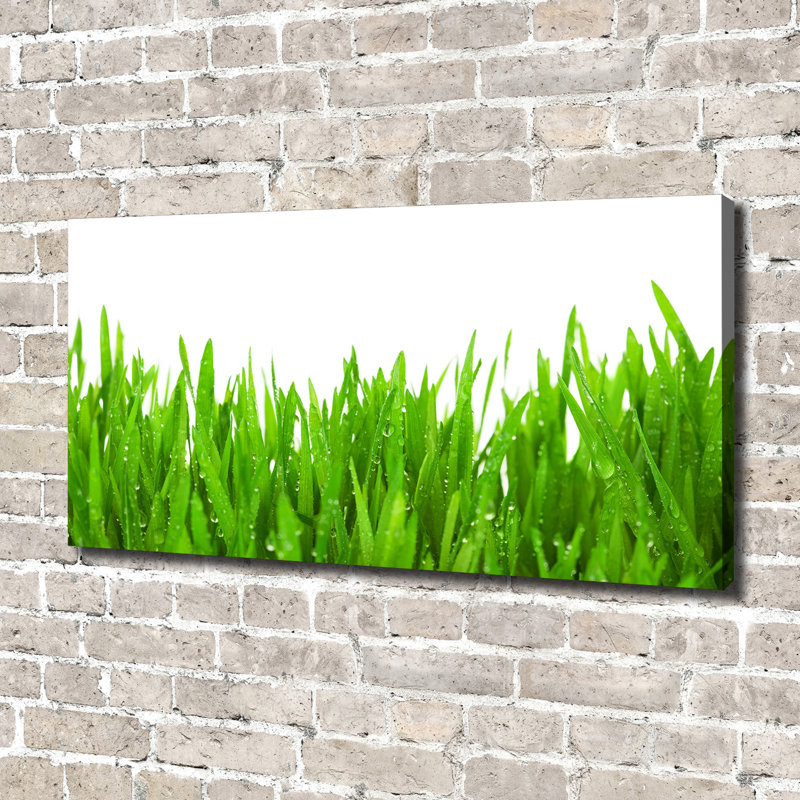 Grass - No Frame Print on Glass, 70cm H x 140cm W x 2cm D, Canvas