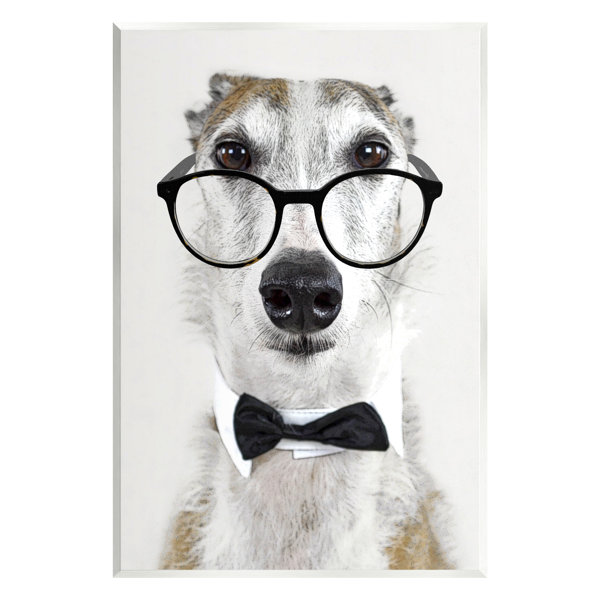 Stupell Funny Dog Formal Bowtie Glasses Framed Giclee Art by Karen Smith - 11 x 14 - Grey