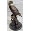 Aigle chauve américain Juvraj