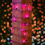 Guirlande lumineuse 50 lumières-845071929