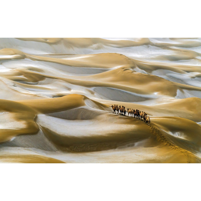 Wrapped Canvas Print, 50.8 cm H x 76.2 cm W