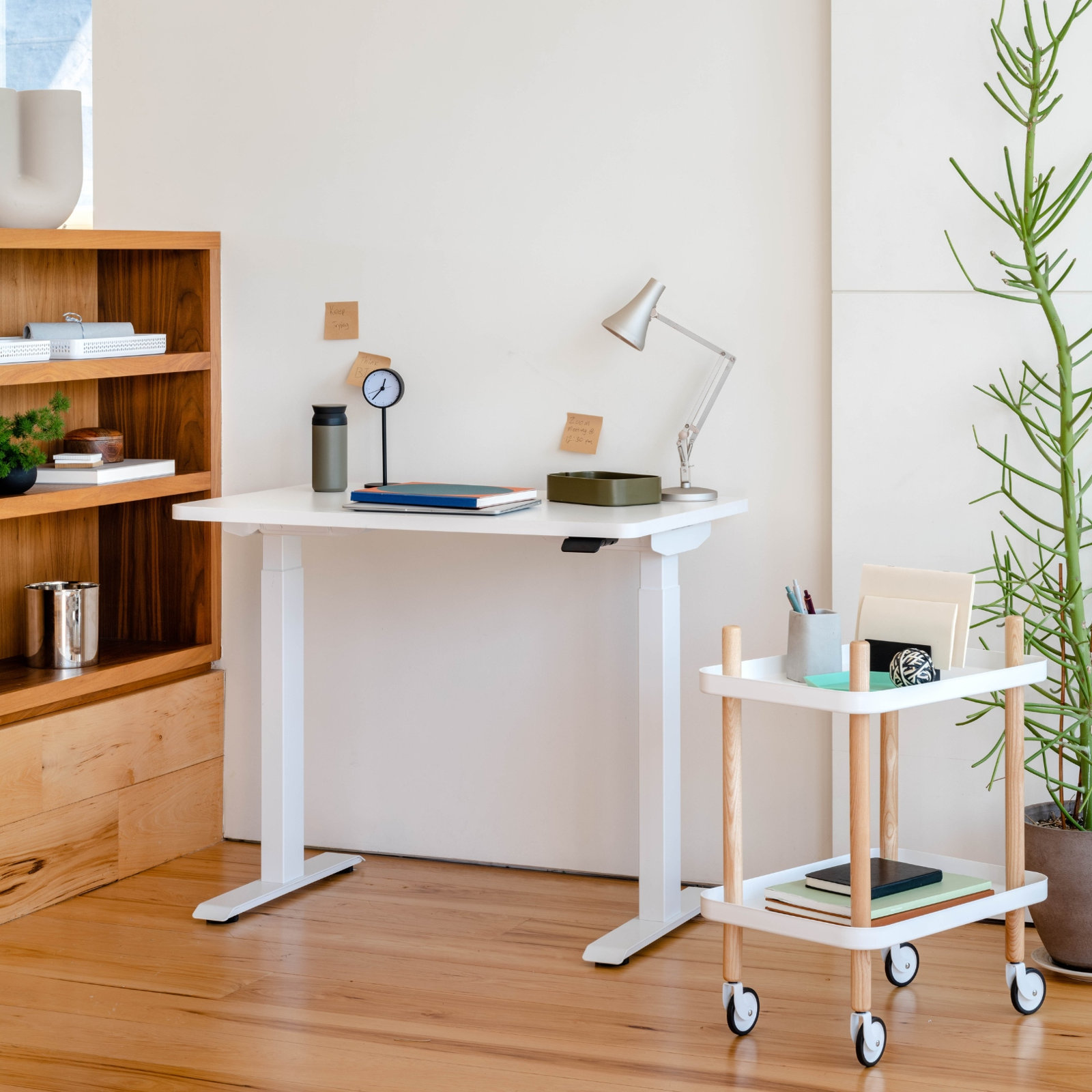 Duo 58" Standing Desk, White, 47.3" H x 48" W x 24" D, White