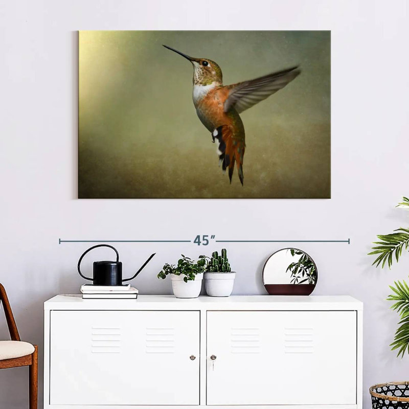 Brampt Female Rufous Hummingbird, 26" H x 39" W
