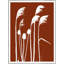 Pampass And Thistle Print-982808033-982808034
