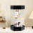 18.89'' H x 10.62'' W Acrylic Display Case