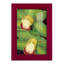 Lime orchidée I - reproduction de cadre photo simple-2014407367-2014407365