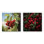 Red Cherry Tree Explosion IV - Cherry-1925373139