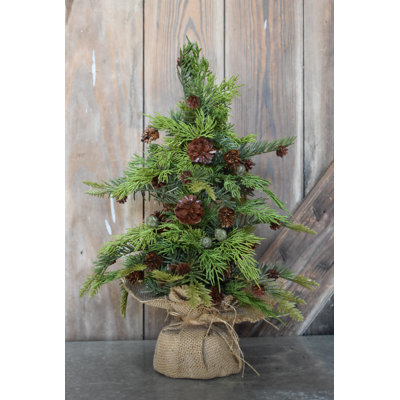 17' Pine Christmas Tree