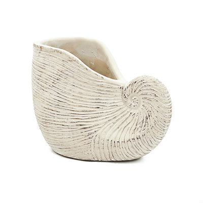 Sand And Cement Nautilus Shell Planter