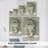 Neutral Oyster Shell II -Gallery Wrapped Cavas-1828696356