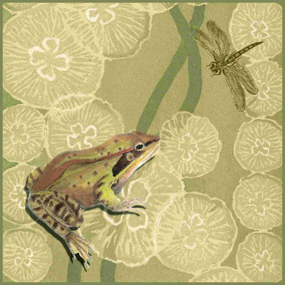Frog Fable I by Vision Studio - Wrapped Canvas Graphic Art -  Rosalind Wheeler, C955D9F47F484503840381931B54050F