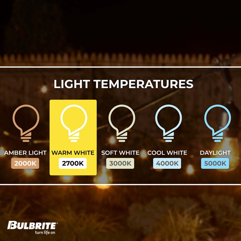 30-ft Outdoor 12 - Bulb Standard Incandescent String Light (End to End Connectable)