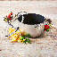 GreenPan Barcelona Evershine 3-Ply Stainless Steel 18cm / 2.1 Litres Casserole with Lid-59719202