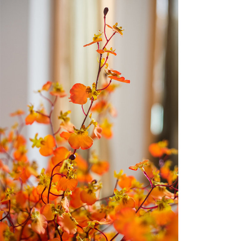 Tige d'orchidée impressionniste Oncidium, 5 tiges, Orange