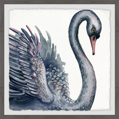 'Majestic Swan' Framed Print