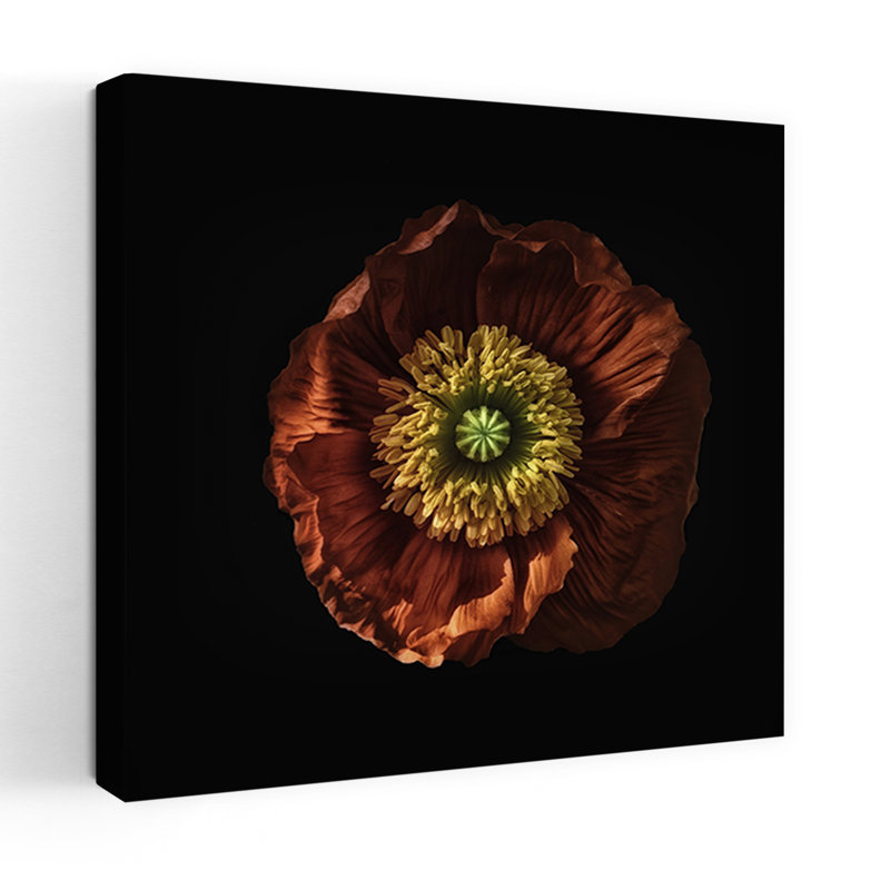 «Red Poppy», art mural contemporain abstrait, H 32 po x l 32 po